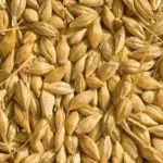 latte_orzo